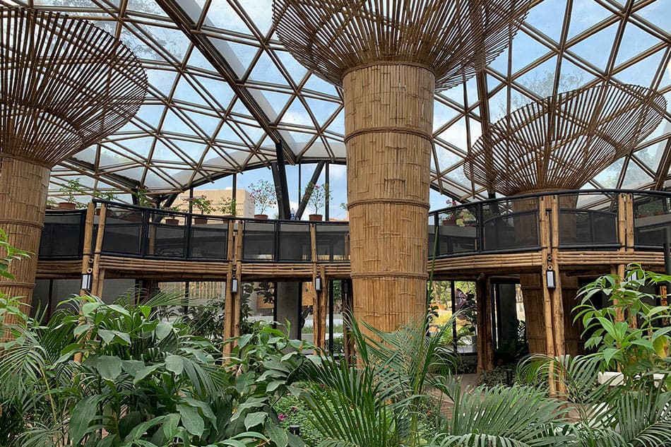 Newly Renovated Manila Zoo